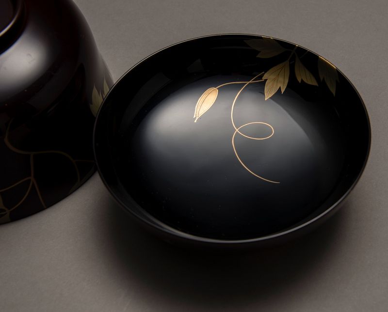 Hand Painted Lacquerware Bowl Set (10) by Musashino Urushi Kogei