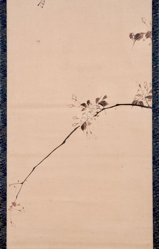 [Spring Trout] Hanging Scroll by Ōtagaki Rengetsu (1791-1875)
