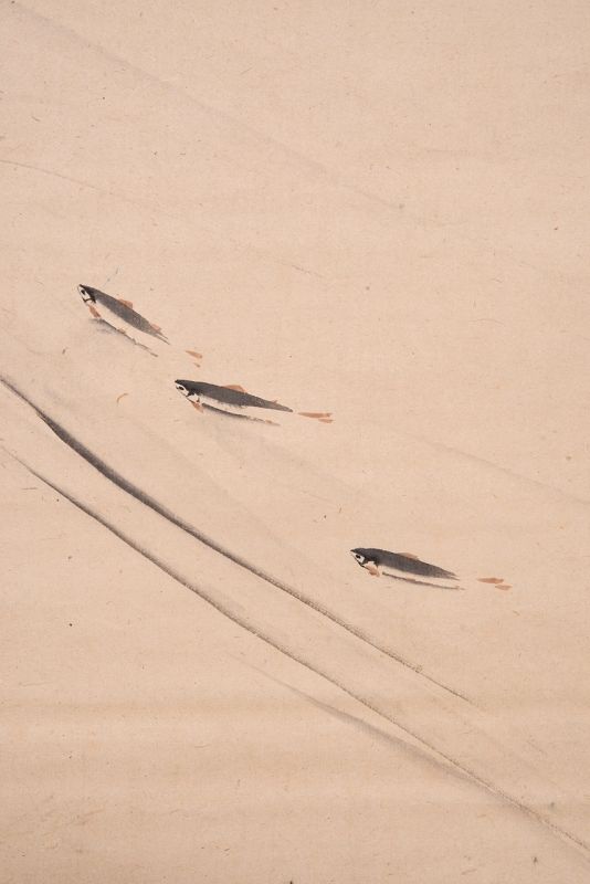 [Spring Trout] Hanging Scroll by Ōtagaki Rengetsu (1791-1875)