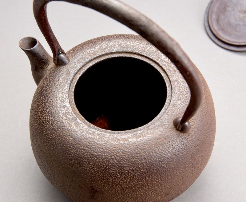 An Antique Cast-Iron Tea Kettle (Tetsubin)