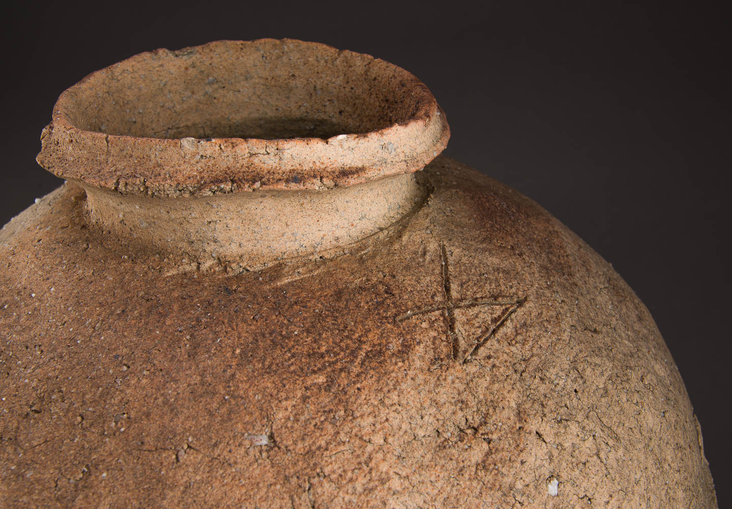 A Large Iga Tsubo by Master Ceramicist Tsujimura Shiro